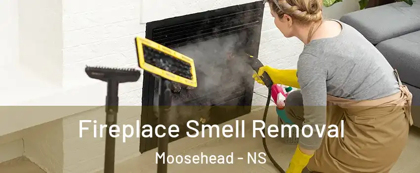  Fireplace Smell Removal Moosehead - NS
