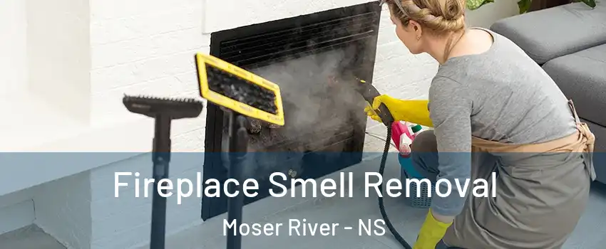  Fireplace Smell Removal Moser River - NS