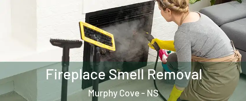  Fireplace Smell Removal Murphy Cove - NS