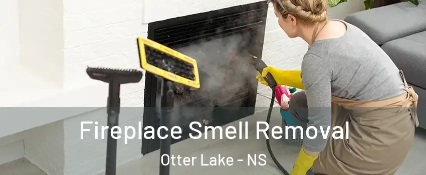  Fireplace Smell Removal Otter Lake - NS