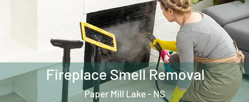  Fireplace Smell Removal Paper Mill Lake - NS