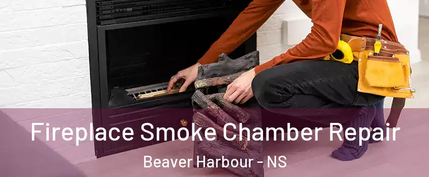  Fireplace Smoke Chamber Repair Beaver Harbour - NS