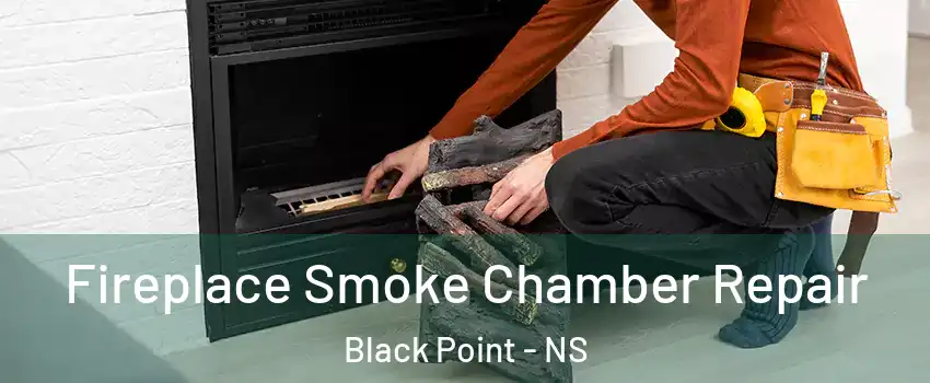  Fireplace Smoke Chamber Repair Black Point - NS