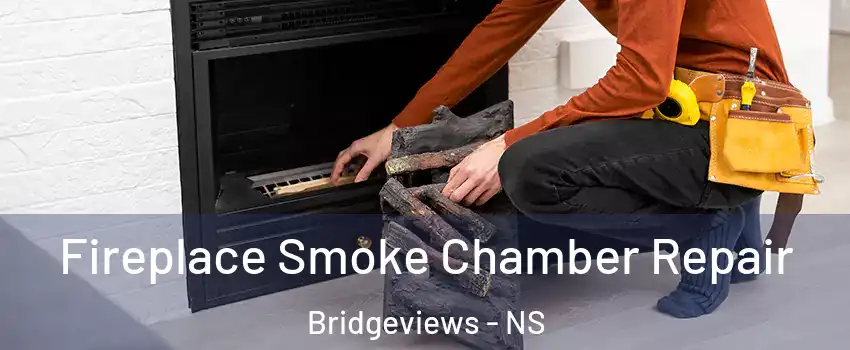  Fireplace Smoke Chamber Repair Bridgeviews - NS