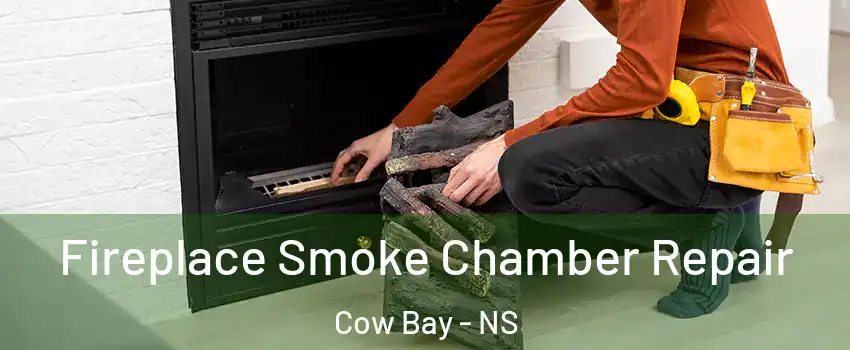  Fireplace Smoke Chamber Repair Cow Bay - NS