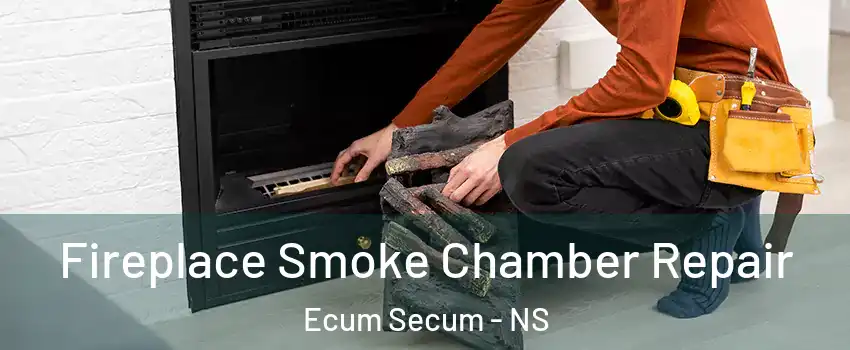  Fireplace Smoke Chamber Repair Ecum Secum - NS