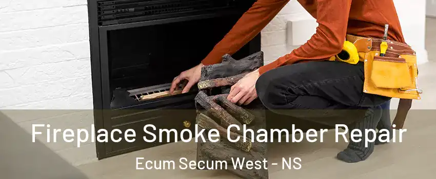  Fireplace Smoke Chamber Repair Ecum Secum West - NS