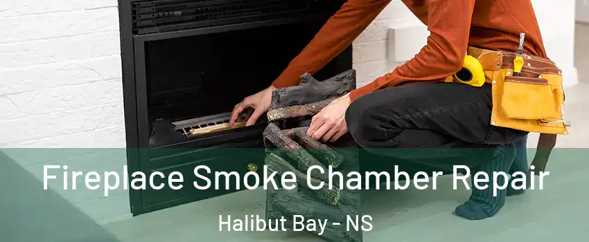  Fireplace Smoke Chamber Repair Halibut Bay - NS