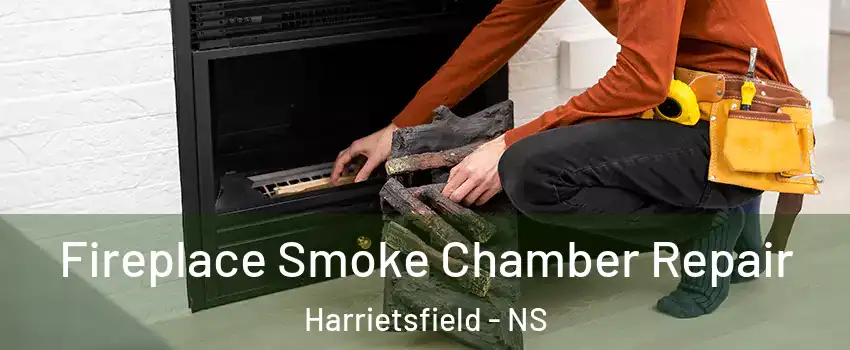  Fireplace Smoke Chamber Repair Harrietsfield - NS