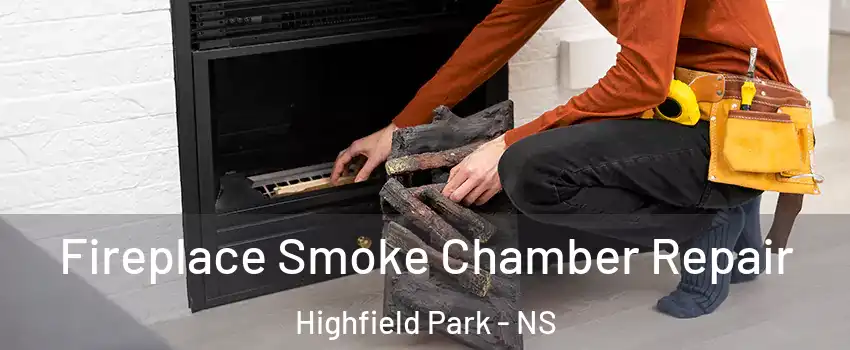  Fireplace Smoke Chamber Repair Highfield Park - NS