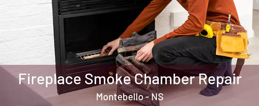  Fireplace Smoke Chamber Repair Montebello - NS