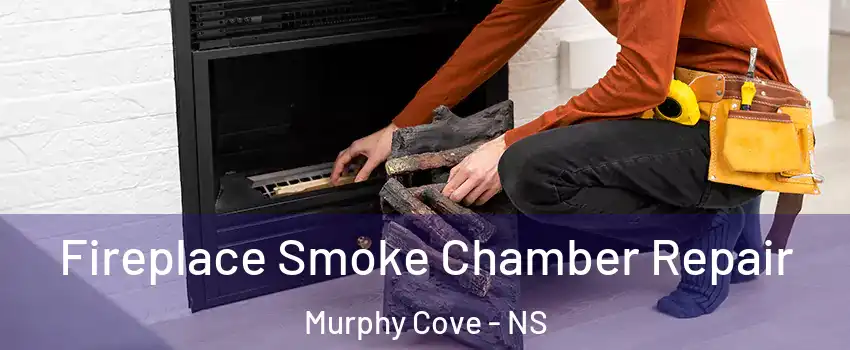  Fireplace Smoke Chamber Repair Murphy Cove - NS
