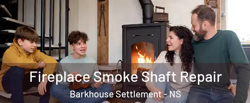  Fireplace Smoke Shaft Repair Barkhouse Settlement - NS