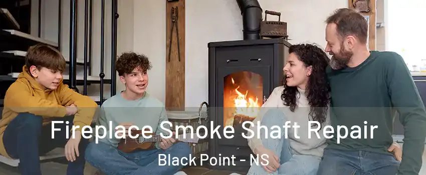  Fireplace Smoke Shaft Repair Black Point - NS