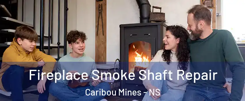  Fireplace Smoke Shaft Repair Caribou Mines - NS