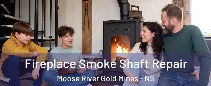  Fireplace Smoke Shaft Repair Moose River Gold Mines - NS