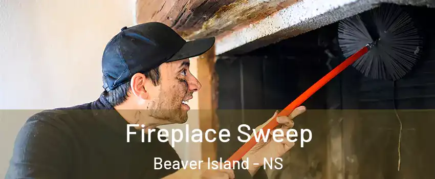  Fireplace Sweep Beaver Island - NS