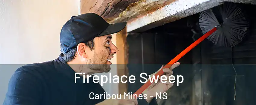 Fireplace Sweep Caribou Mines - NS