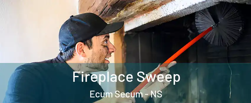  Fireplace Sweep Ecum Secum - NS