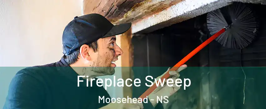  Fireplace Sweep Moosehead - NS
