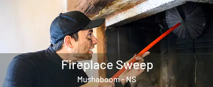  Fireplace Sweep Mushaboom - NS
