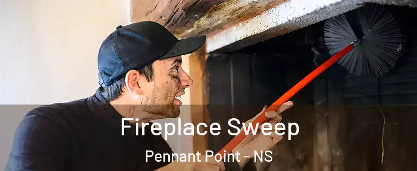  Fireplace Sweep Pennant Point - NS