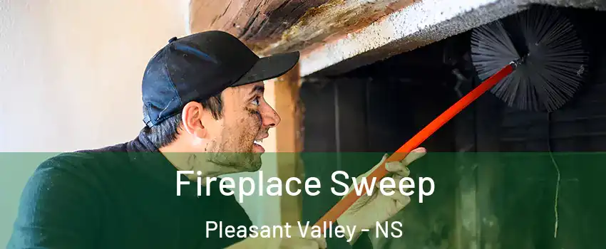  Fireplace Sweep Pleasant Valley - NS