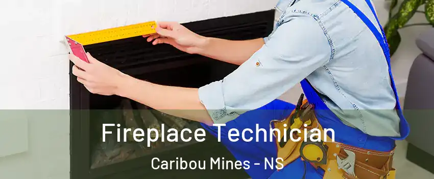 Fireplace Technician Caribou Mines - NS