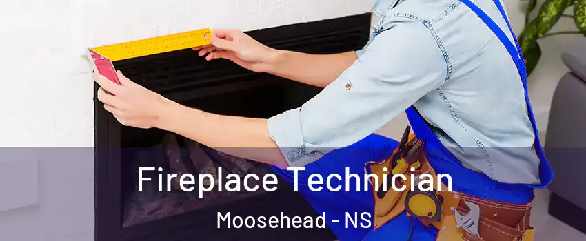 Fireplace Technician Moosehead - NS