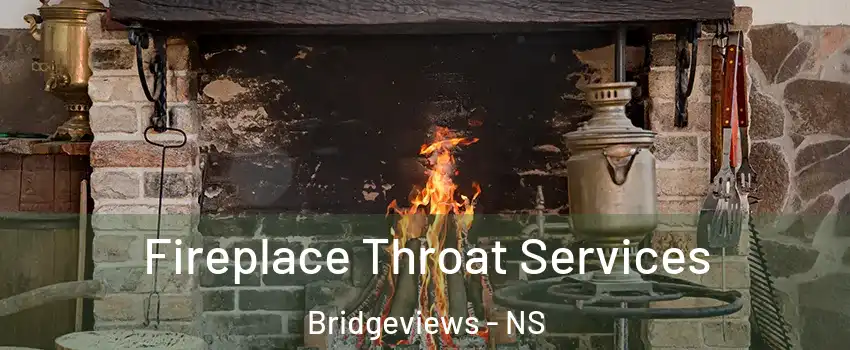  Fireplace Throat Services Bridgeviews - NS