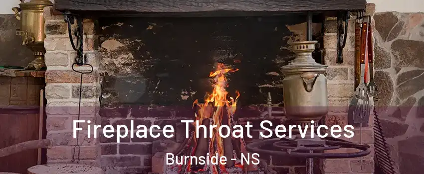  Fireplace Throat Services Burnside - NS