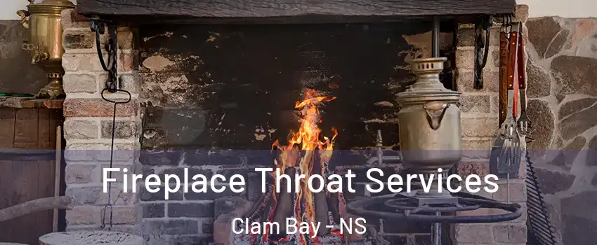  Fireplace Throat Services Clam Bay - NS