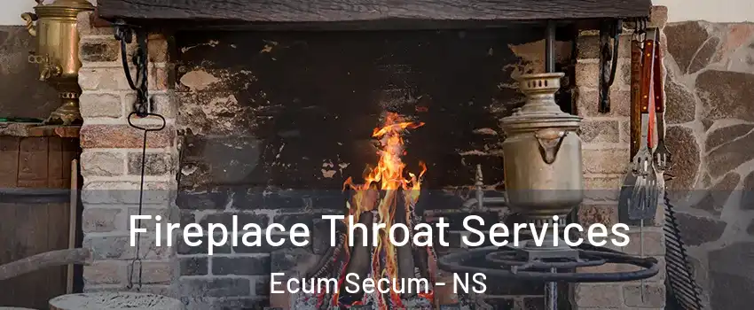  Fireplace Throat Services Ecum Secum - NS