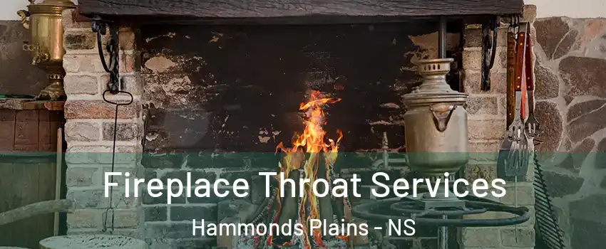  Fireplace Throat Services Hammonds Plains - NS