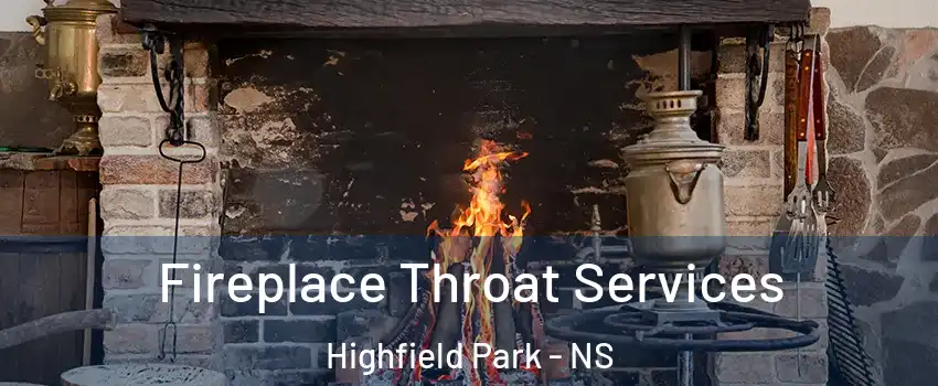  Fireplace Throat Services Highfield Park - NS