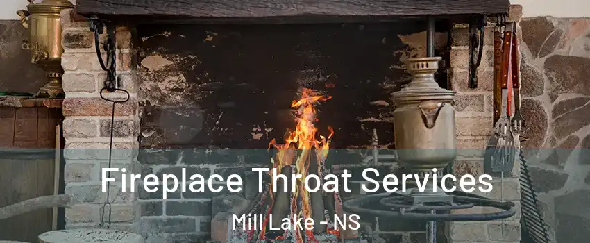  Fireplace Throat Services Mill Lake - NS