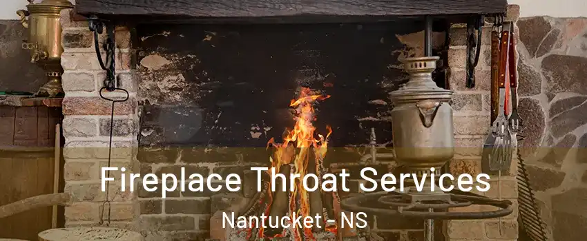  Fireplace Throat Services Nantucket - NS
