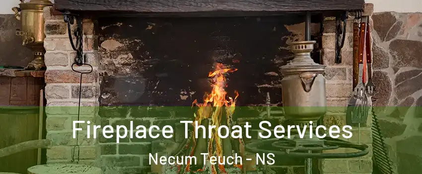  Fireplace Throat Services Necum Teuch - NS