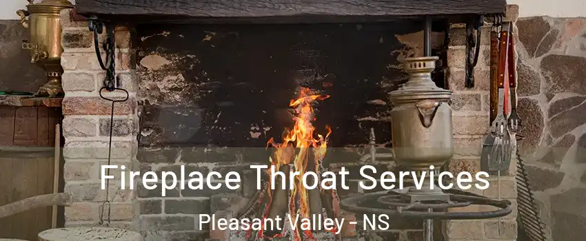  Fireplace Throat Services Pleasant Valley - NS