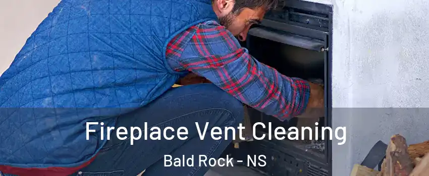  Fireplace Vent Cleaning Bald Rock - NS