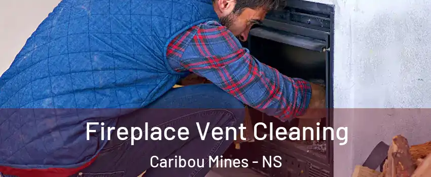  Fireplace Vent Cleaning Caribou Mines - NS