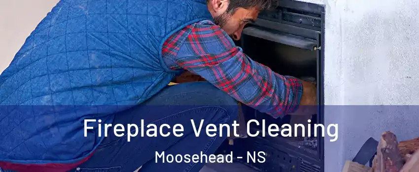  Fireplace Vent Cleaning Moosehead - NS