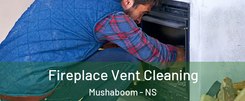  Fireplace Vent Cleaning Mushaboom - NS