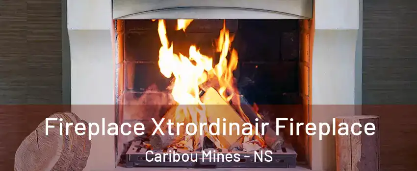  Fireplace Xtrordinair Fireplace Caribou Mines - NS