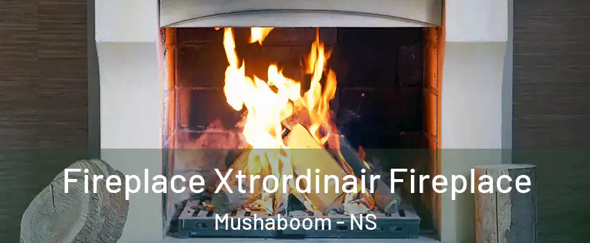  Fireplace Xtrordinair Fireplace Mushaboom - NS