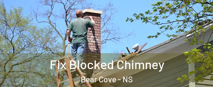  Fix Blocked Chimney Bear Cove - NS