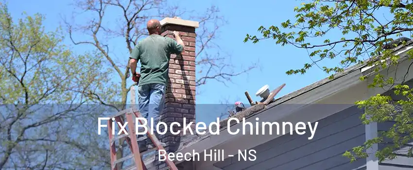  Fix Blocked Chimney Beech Hill - NS