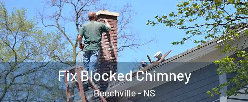  Fix Blocked Chimney Beechville - NS
