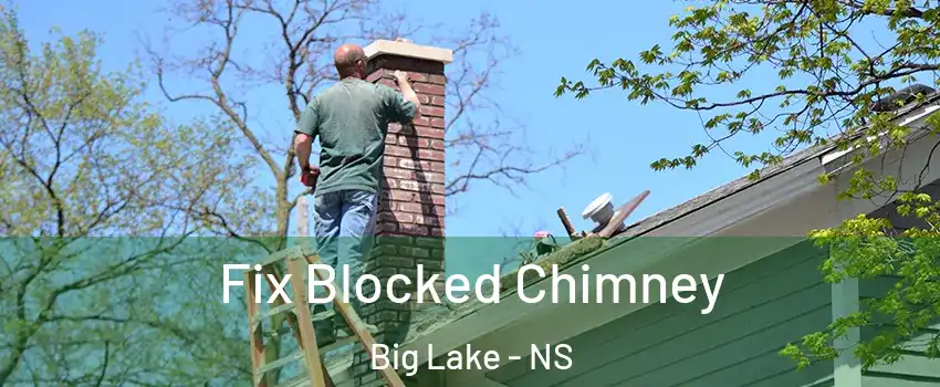  Fix Blocked Chimney Big Lake - NS