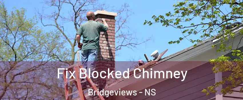  Fix Blocked Chimney Bridgeviews - NS